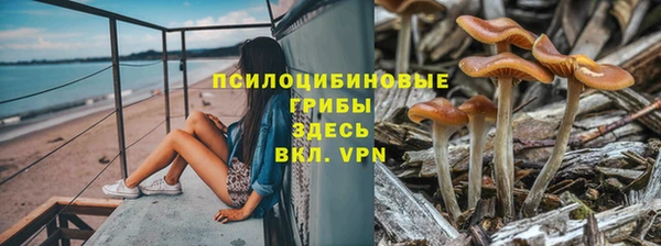 герыч Аркадак